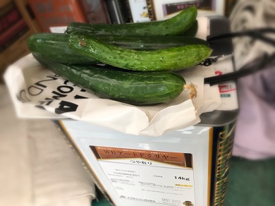 外壁・ベランダ防水 Before